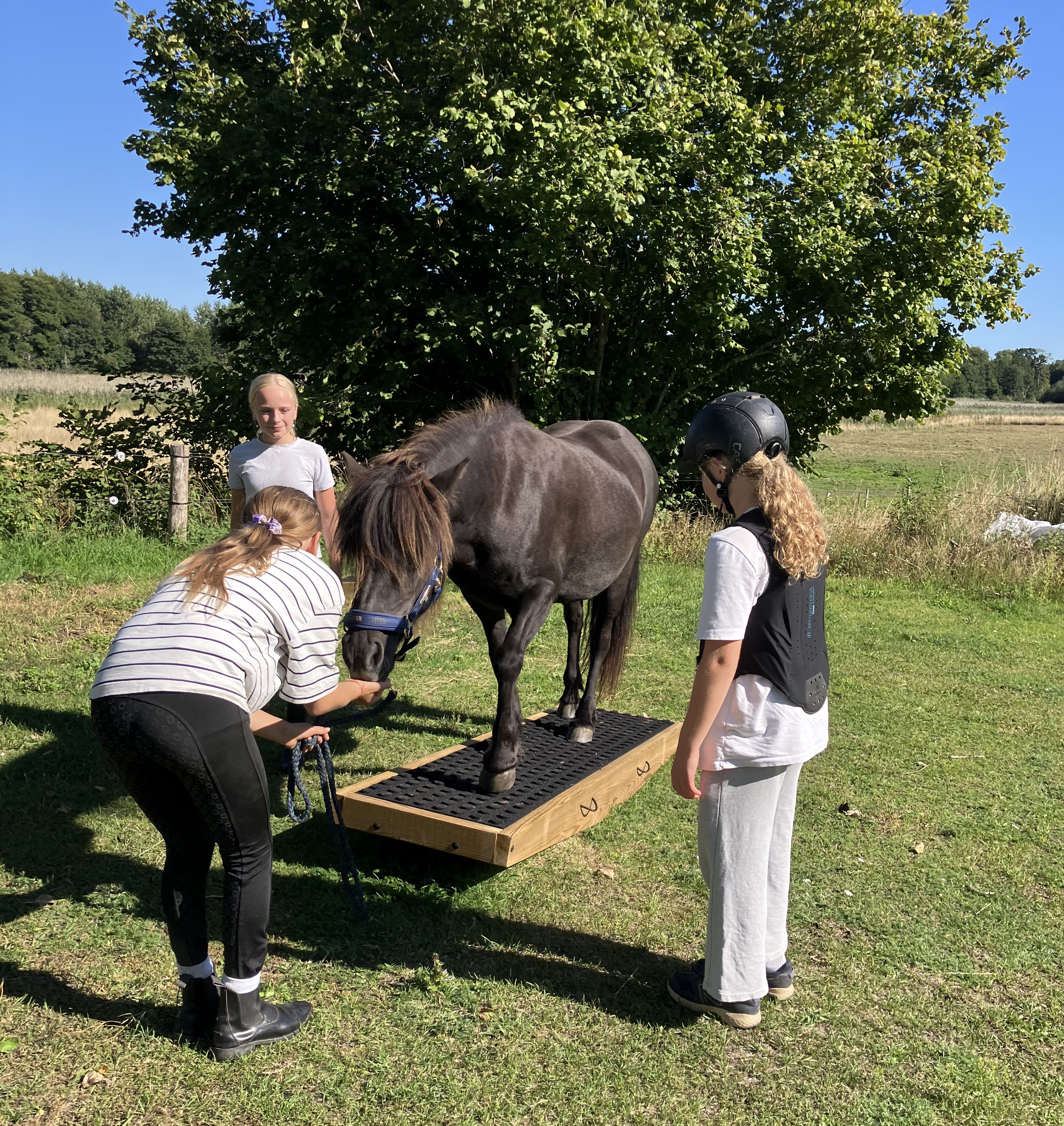tre unge mennesker omkring en hest, der går på en vippe