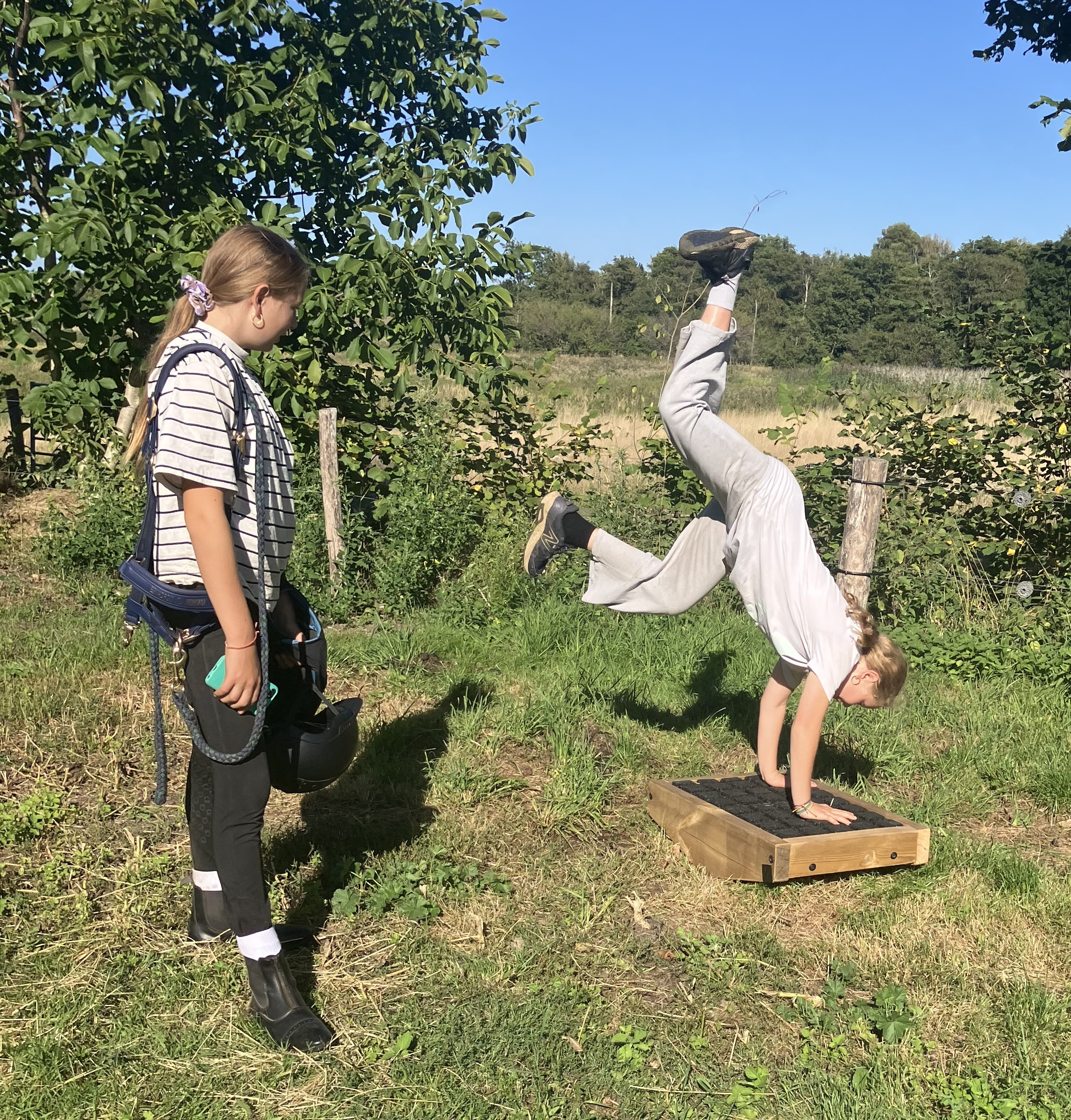 to børn / unge, hvor den ene står på hænder på en hestevippe, og den anden kigger på.