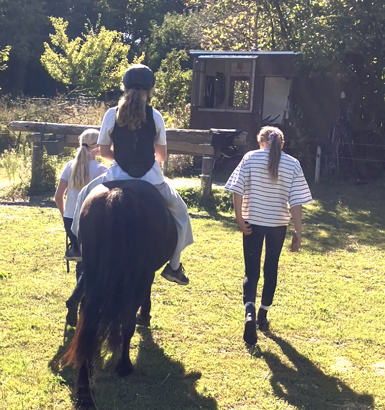 tre børn /unge som ses bagfra, hvor en sidder på en hest og de andre går på hver side