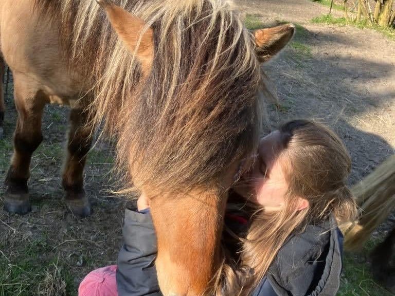 Barn står kind mod kind med en fjordhest i solskin