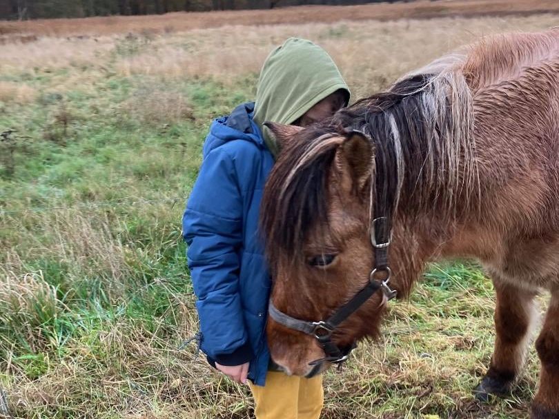 Barn i blå jakke og grøn hætte står med bøjet hoved tæt ved en pony på en efterårsmark